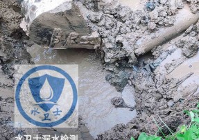 丹阳水管漏水检测公司5